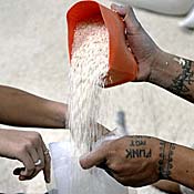 NFA workers pour rice into kilo bags 