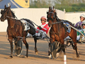 Harness racers