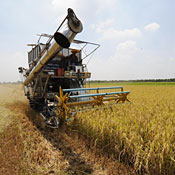 tractor in field 