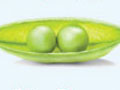 Fertility Diet