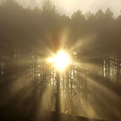 sunlight 