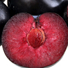 Plum poetry