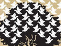 'The Plague of Doves'