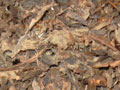 Sugar beet waste