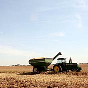 Farmer harvests corn in Illinois