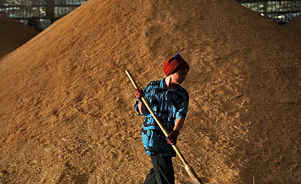 
                A Thai worker sweeps next to a pile of rice at a  mill factory in Suphan-Buri, Thailand.
                                    (Chumsak Kanoknan/ Getty Images)
                                