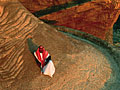 A Bedouin