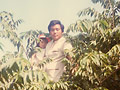 In the treetops: Kao Kalia Yang with her father in Thailand.