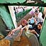 Pakistani women receive rice in Islamabad