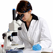 researcher 