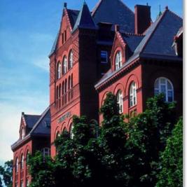 Larger view
