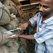 Indian vendor checks the quality of rice 