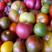 A colorful harvest at Jules urban farm. 