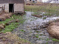 Larger view