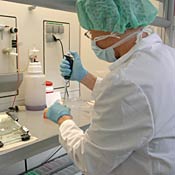 Cancer research 