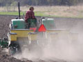 Spring planting