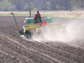 Farmer planting