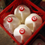 Milk cartons in a crate 