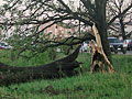 Larger view