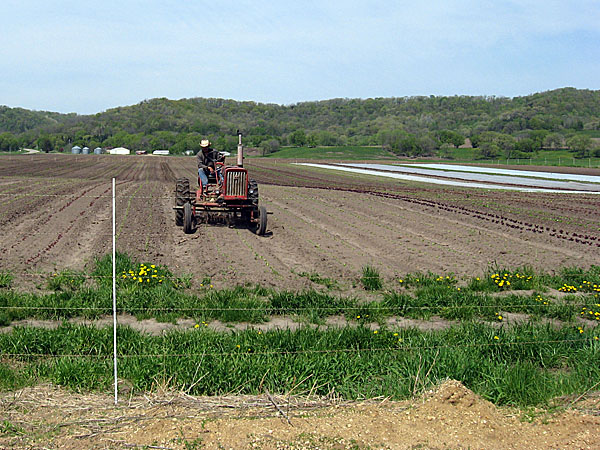 New Farms