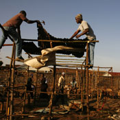 kenya slum 