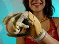 A bionic hand