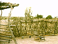 Larger view