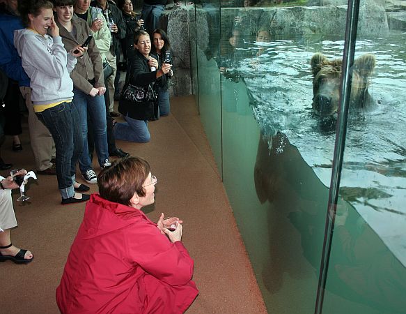 Zoo Visitors