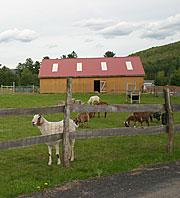 Larger view