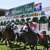 Horse leave the gate at Hollywood Park 