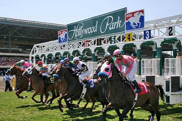 Horses leave the gate at the start of a race at 