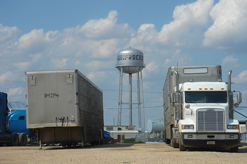 
                    Located on the edge of town, the Agriprocessors meat packing plant was annexed by Postville in 1997.
                                            (Kyle Gassiott)
                                        