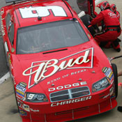budweiser nascar 