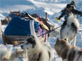 Will Steger's Ellesmere Island expedition