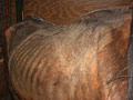 Larger view