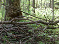 Larger view