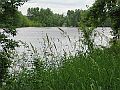 Minnesota River