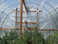 High tunnel