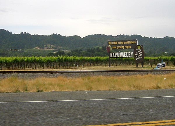 
                Napa Valley sign and vineyard
                                    (Jeremy Hobson)
                                
