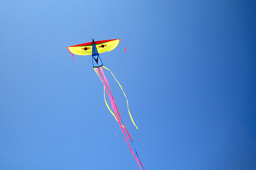 
                    One of Tyrus Wong's kites flying high at the beach in Santa Monica, Calif.
                                            (Krissy Clark)
                                        