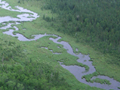 Big Bog