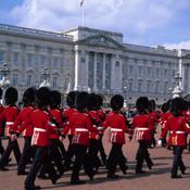 British Royal Guard 