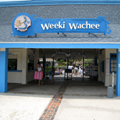 Weeki Wachee Springs 