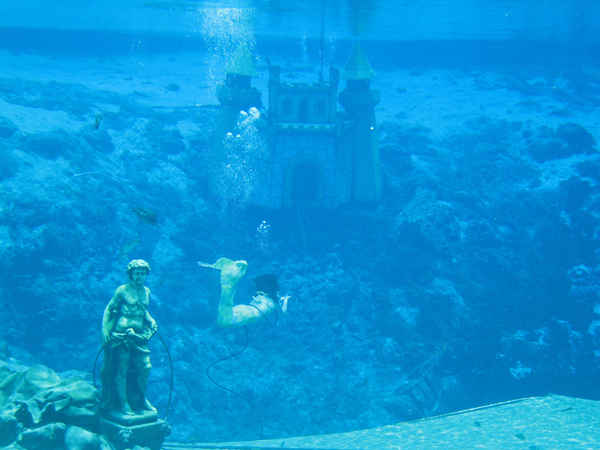 
                Mermaids breathe through underwater tubes. The water in the freshwater spring is 72 degrees Fahrenheit. The mermaids often share the stage with native wildlife, including turtles, fish and manatees.
                                    (Dan Grech)
                                