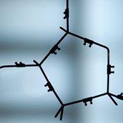 DNA strands from a double helix model 