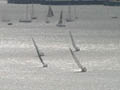 Boats in the Singlehanded Sailing Society