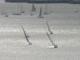 Boats in the Singlehanded Sailing Society