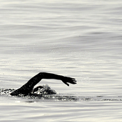 Spanish long-distance swimmer David Meca 