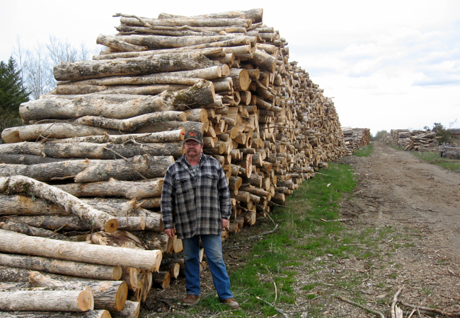 Wayne Skoe's lumber yard in Northome, Minn., looks like a logging equipment graveyard as demand for building materials has dropped with the housing market.