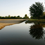 Irrigation water near Bakersfield, Calif.
